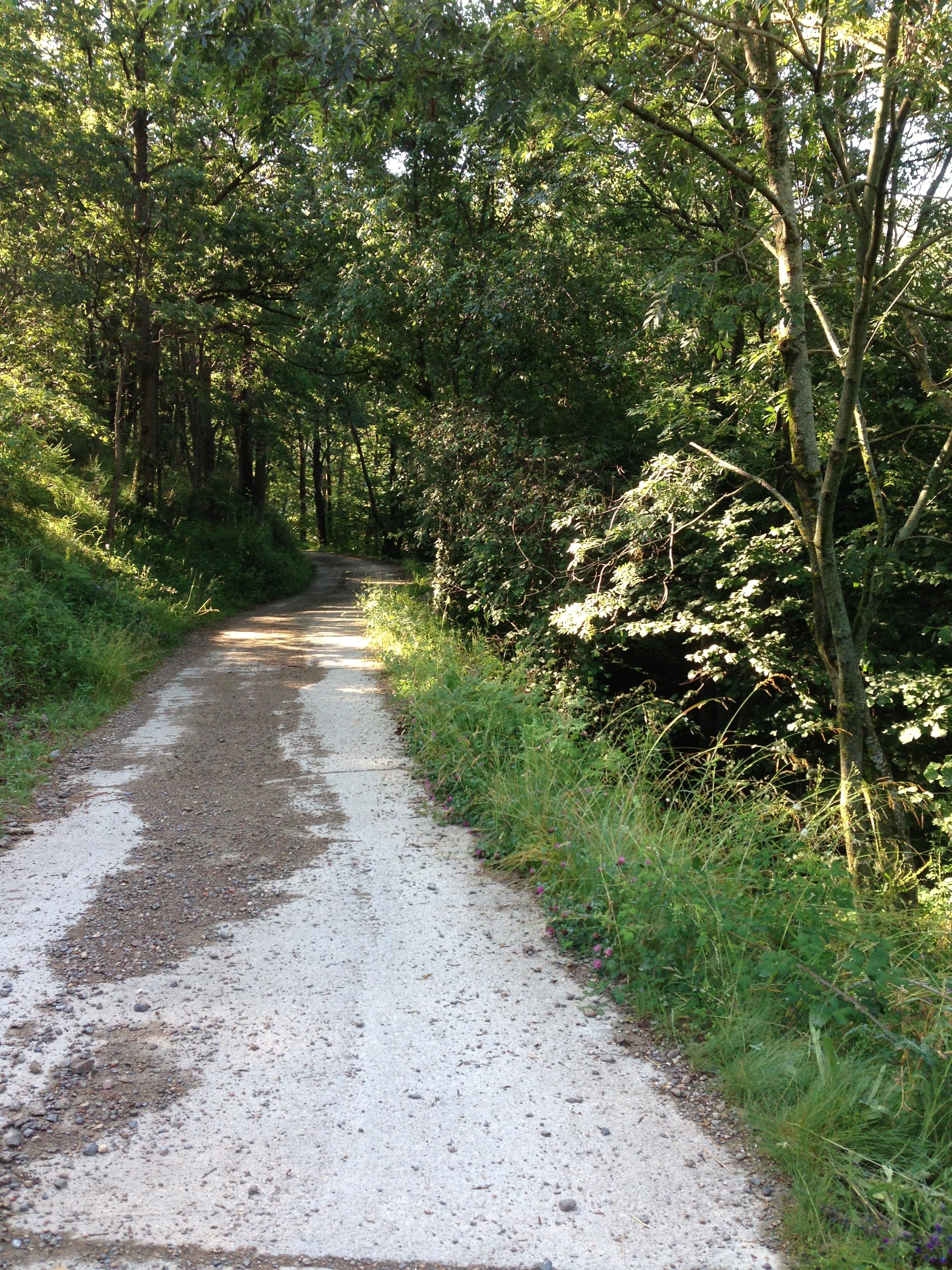 20130731-064034.jpg